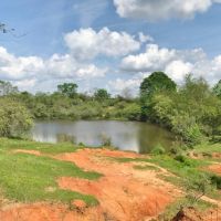 80 acres of Prime Pastureland in Tylertown  MS images 2