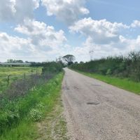 80 acres of Prime Pastureland in Tylertown  MS images 3
