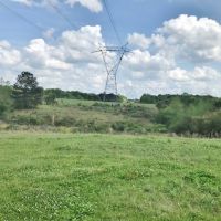 80 acres of Prime Pastureland in Tylertown  MS images 4