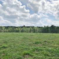 80 acres of Prime Pastureland in Tylertown  MS images 5