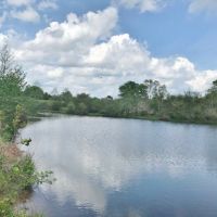 80 acres of Prime Pastureland in Tylertown  MS images 6
