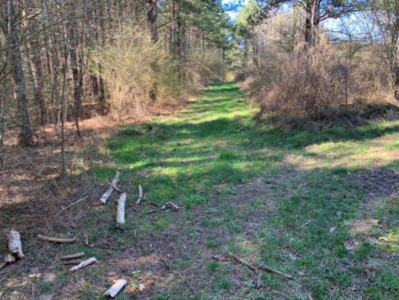 138 Acres in Scott County in Lake  MS featured image