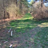 138 Acres in Scott County in Lake  MS