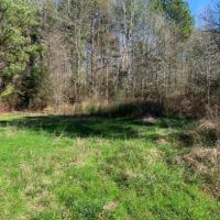 138 Acres in Scott County in Lake  MS images 3