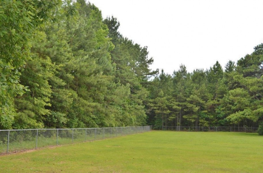 36.7 Acres Hunting or Timber Land NPSD Pike Co  SW MS featured image