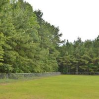 36.7 Acres Hunting or Timber Land NPSD Pike Co  SW MS images 1