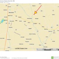 36.7 Acres Hunting or Timber Land NPSD Pike Co  SW MS images 3