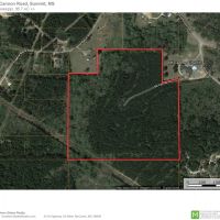 36.7 Acres Hunting or Timber Land NPSD Pike Co  SW MS images 4