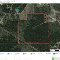 36.7 Acres Hunting or Timber Land NPSD Pike Co  SW MS images 5
