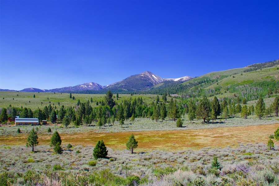 Cow Camp Ranch featured image