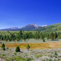 Cow Camp Ranch