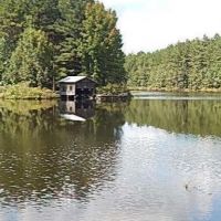 935 Acres in Jasper County in Pachuta  MS images 2