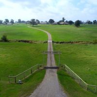 Atkins Ranch
