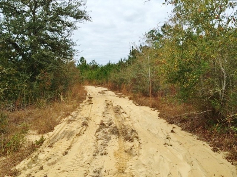 47 &nbsp; - Acres Land for Sale Saucier  Harrison County  MS featured image
