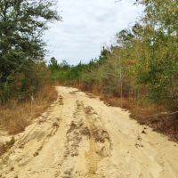 47 &nbsp; - Acres Land for Sale Saucier  Harrison County  MS images 1