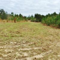 47 &nbsp; - Acres Land for Sale Saucier  Harrison County  MS images 4