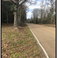 48.86 Acres in Rankin County in Brandon  MS images 3