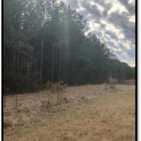 48.86 Acres in Rankin County in Brandon  MS images 4
