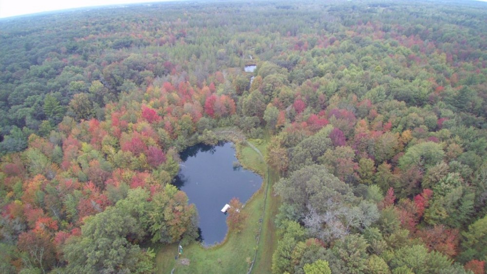 Turnkey Quality Hunting Parcel in Adams County featured image