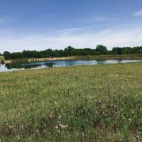 Twin Tanks Ranchette images 1
