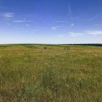 Twin Tanks Ranchette images 3