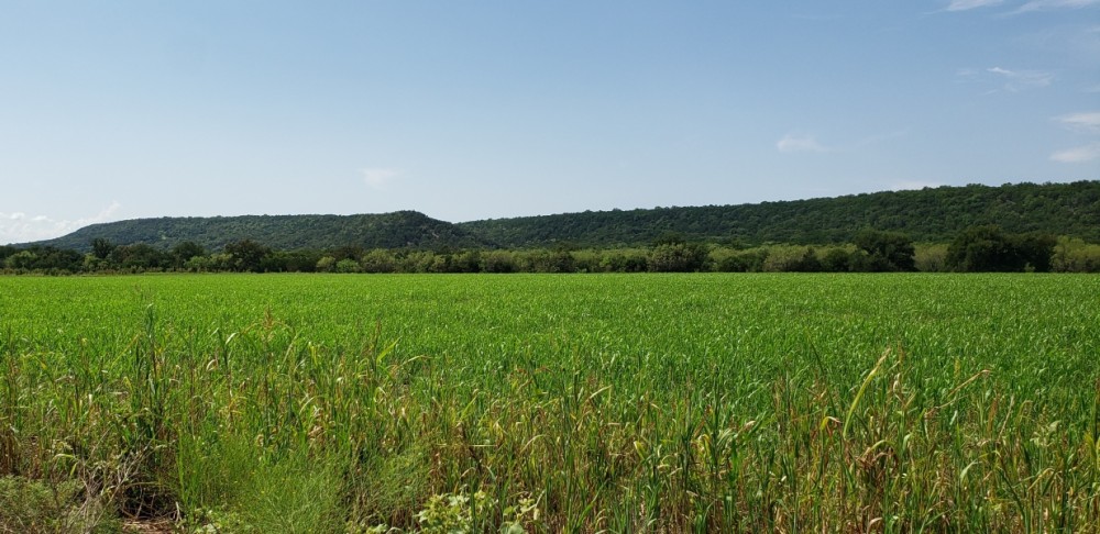 200.31 AC Recreational Property featured image