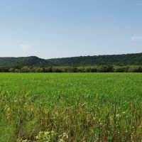 200.31 AC Recreational Property