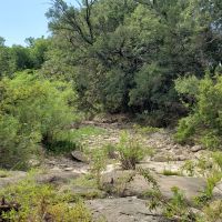 200.31 AC Recreational Property images 4