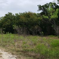 200.31 AC Recreational Property images 5