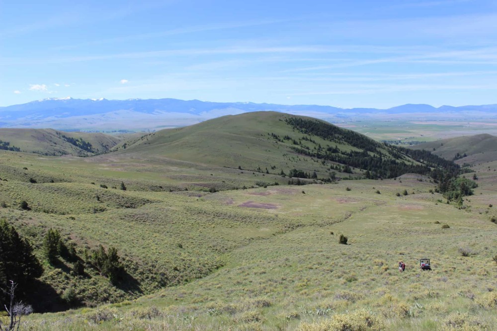 Edwards Gulch featured image