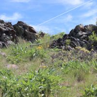 Edwards Gulch images 2