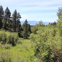 Edwards Gulch images 3
