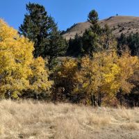 Edwards Gulch images 4