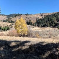 Edwards Gulch images 5