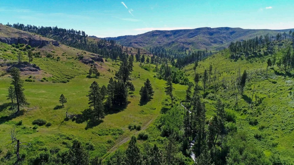 Silver Creek Elk Preserve featured image