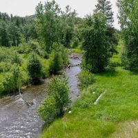 Silver Creek Elk Preserve images 4