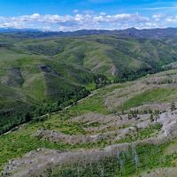 Silver Creek Elk Preserve images 5