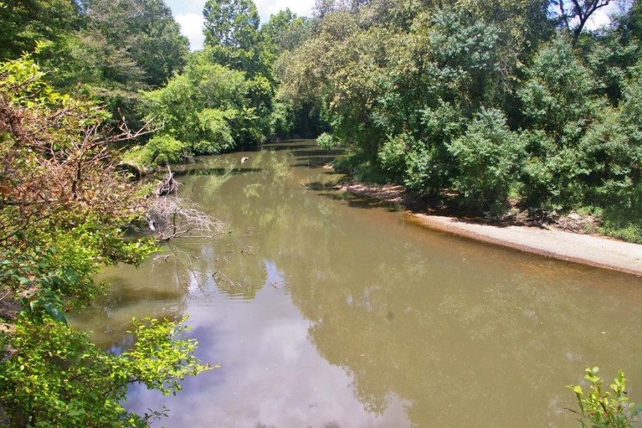 24.11 Acres Bogue Chitto River Frontage Land for Sale SW MS featured image