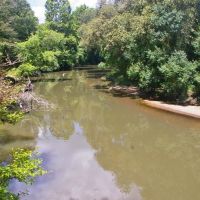 24.11 Acres Bogue Chitto River Frontage Land for Sale SW MS