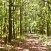 24.11 Acres Bogue Chitto River Frontage Land for Sale SW MS images 3