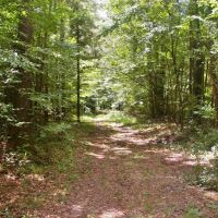 24.11 Acres Bogue Chitto River Frontage Land for Sale SW MS images 4