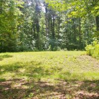 24.11 Acres Bogue Chitto River Frontage Land for Sale SW MS images 6
