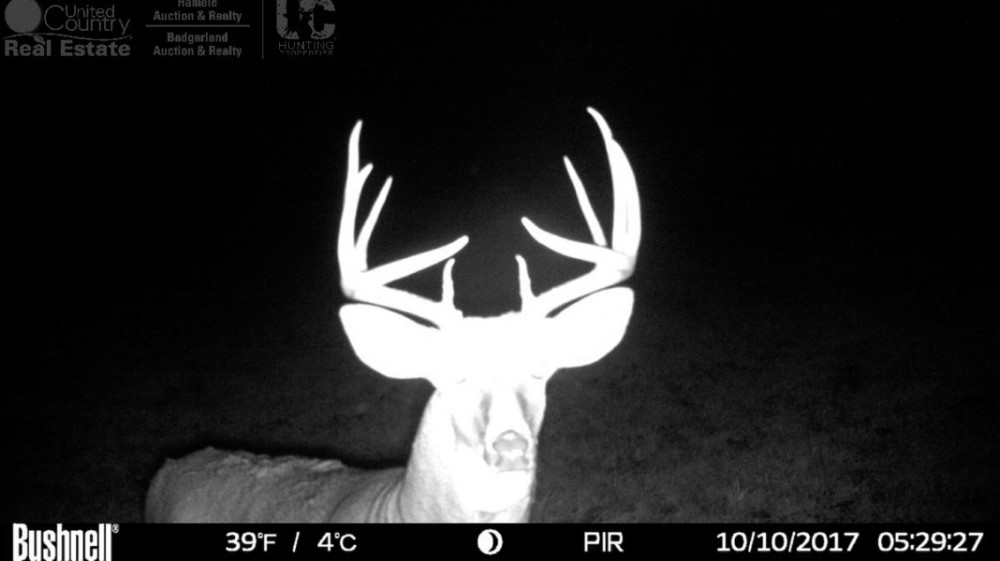 Hunting Land and Build Site in Sauk County  WI featured image