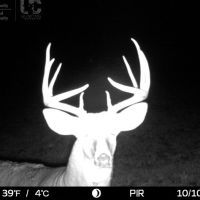 Hunting Land and Build Site in Sauk County  WI
