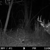 Hunting Land and Build Site in Sauk County  WI images 2