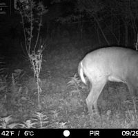 Hunting Land and Build Site in Sauk County  WI images 4