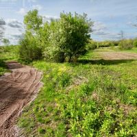 Hunting Land and Build Site in Sauk County  WI images 5