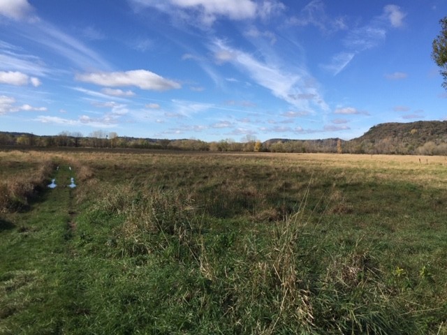 140  - Acres Wabasha County  MN featured image
