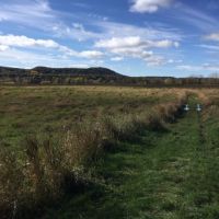 140  - Acres Wabasha County  MN images 2