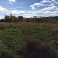 140  - Acres Wabasha County  MN images 6